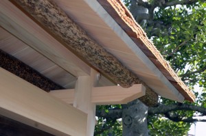 Detail of the roof.