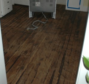 After tearing up two layers of flooring and scraping mastic, the fir appeared to be in decent shape.