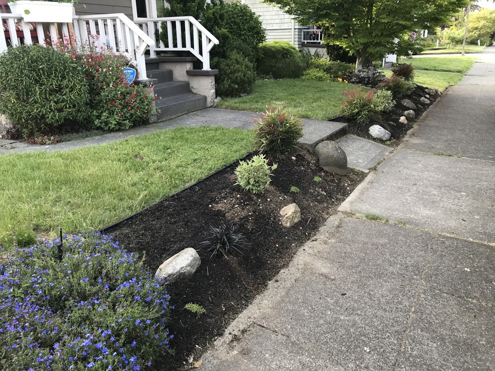 The freshly-planted front bed. 